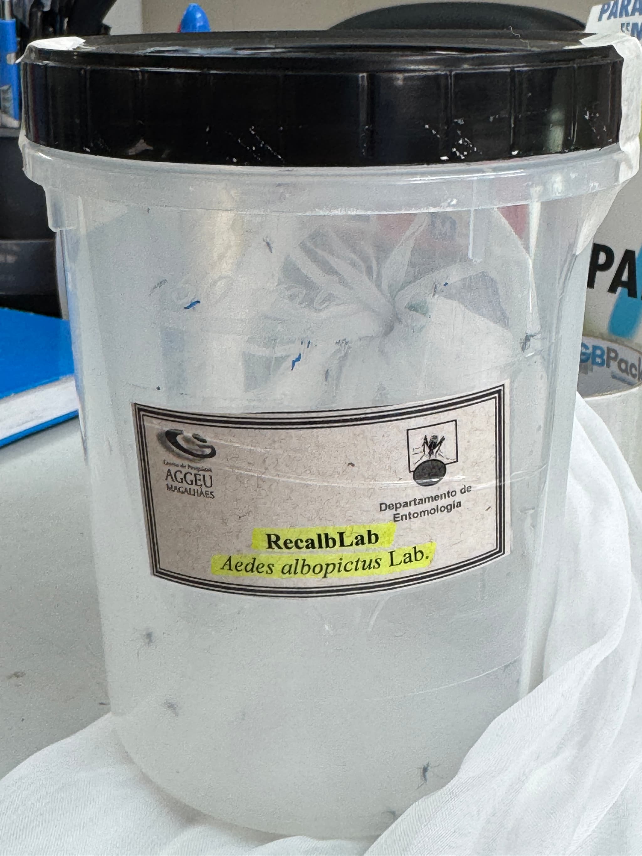 Time trabalhando no projeto